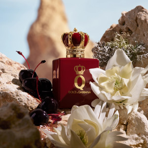 Q by Dolce & Gabbana - Elixier Q by Dolce & Gabbana - Elixier